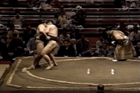 Daihisho's Fighting Style