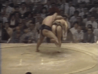 Mutsuarashi's Fighting Style