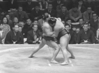 Sawahikari's Fighting Style