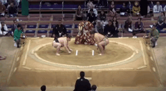Yamatofuji's Fighting Style