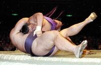 Hananokuni loses to Tomonohana by Izori (c. 1993)