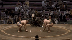 Fujinoyama's Fighting Style