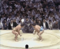 Mienoumi's Fighting Style