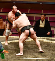 Tenichi defeats 50 year old rikishi Hanakaze (c. 2020)