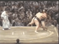 Harunoyama's Fighting Style