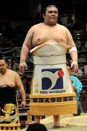 Kimurayama2013