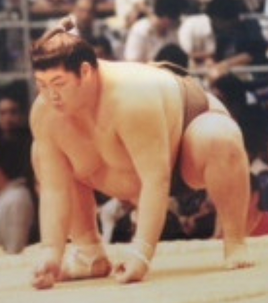 Wakayashima2-main