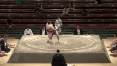 Daigonishiki's Fighting Style