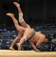 Tetsuyuzan throws and defeats Mugendai (c. 2015)