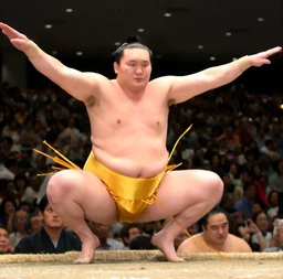 Mawashi Sumowrestling Wiki Fandom