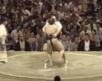 Takanohana's Fighting Style
