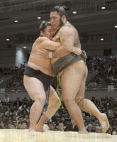 Wakarikido loses the Sandanme Yusho playoff (c. 2013)