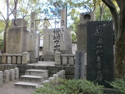 Dewanoumi-tomioka