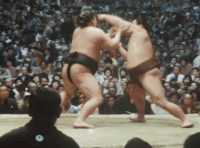 Onishiki's FIghting Style