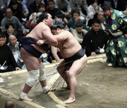 WakamotoharuKinboshi