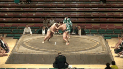 Chiyonoshin's Fighting Style