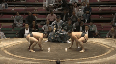Kihonoumi's Fighting Style