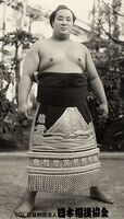 Wakahaguro Tomoaki - (Retrieved from the Nihon Sumo Kyokai)