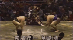 Enazakura's Fighting Style