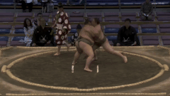 Gonoumi's Fighting Style