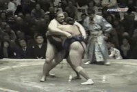 Kotonowaka's Fighting Style2