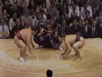 Oginohana's Fighting Style