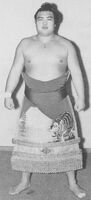 Tochifuji poses with his kesho-mawashi