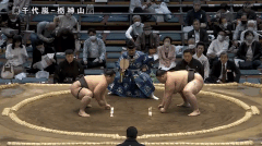 Tochikamiyama's Fighting Style