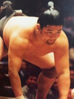 Kotoarashi after falling to the unsalaried ranks