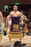 Higonojo during the Juryo dohyo-iri (c. 2014)