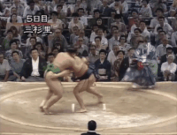 Misugisato's Fighting Style