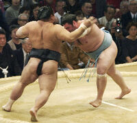 Kokkai defeats Chiyotaikai (c. 2006)