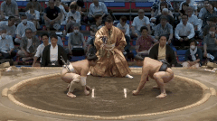 Azumaryu's Fighting Style 3