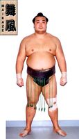 Maikaze Masahiro - 2005 (Retrieved from the JSA)