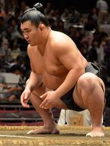 Terutsuyoshi2014