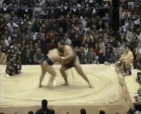 Tosanoumi's Fighting Style