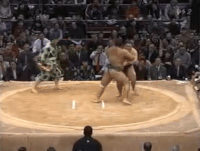 Wakarikido's Fighting Style