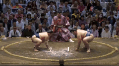Hiradoumi's Fighting Style 3