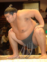 Homarefuji's during his time in the unsalaried ranks (c. 2010)
