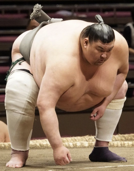 Sakaefuji-main