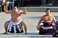 Kagamio serves as Yokozuna Kakuryu's dew sweeper (c. 2014)