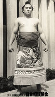 Maenoyama Taro - (Retrieved from the Nihon Sumo Kyokai)