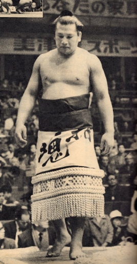 TachihikariJ-main