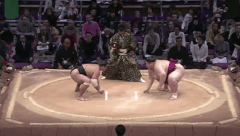 Wakakirin's Fighting Style