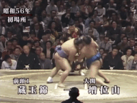 Zaonishiki's Fighting Style