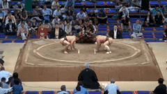 Chokozan's Fighting Style