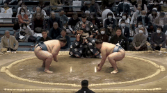 Ichinojo's Fighting Style 2
