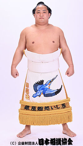 Midorifuji 2025