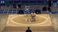 Mifuneyama's Fighting Style