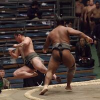 Wakaichiro defeats Kotourasaki (c. 2019)